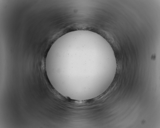 X0000103320335200809051004