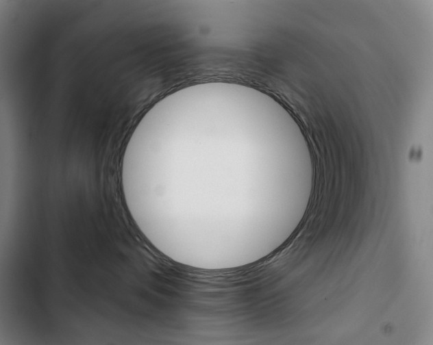 X0000103320336200809051004