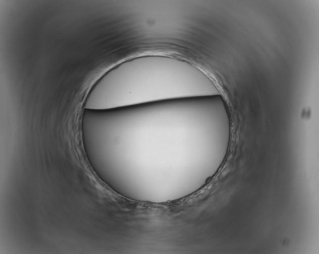 X0000103320337200809051004