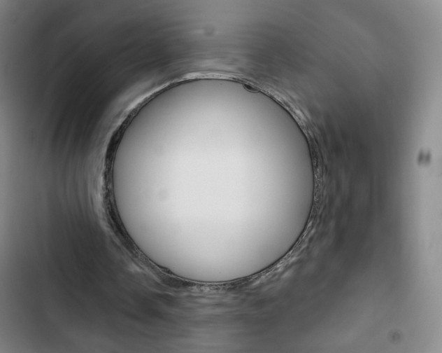 X0000103320338200809051004