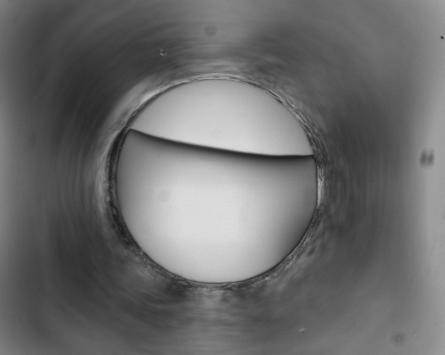 X0000103320339200809051004