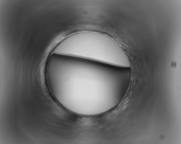 X0000103320341200809051004