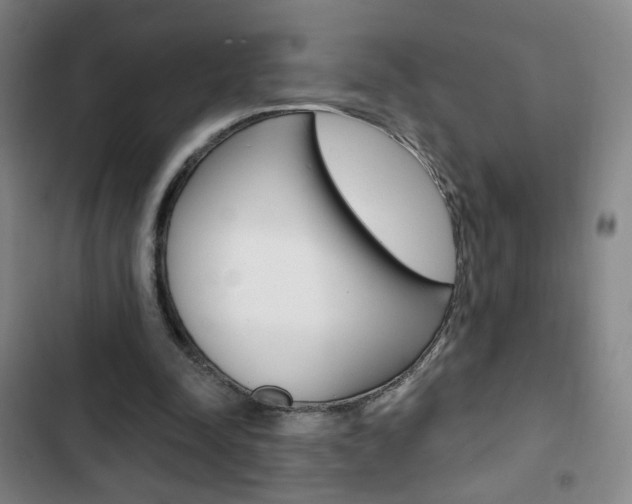 X0000103320342200809051004