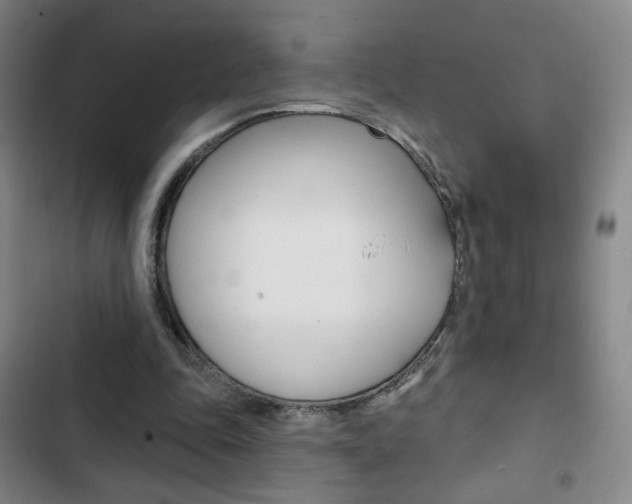X0000103320343200809051004