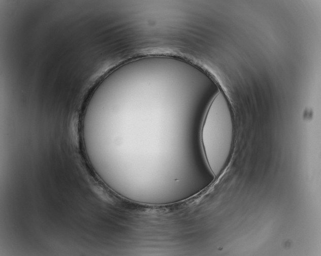 X0000103320345200809051004