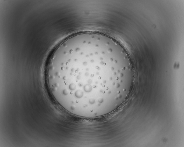 X0000103320346200809051004
