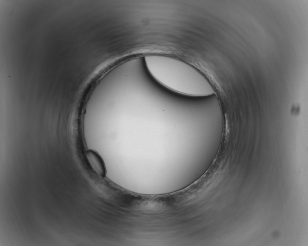 X0000103320348200809051004