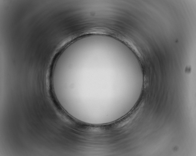 X0000103320349200809051004