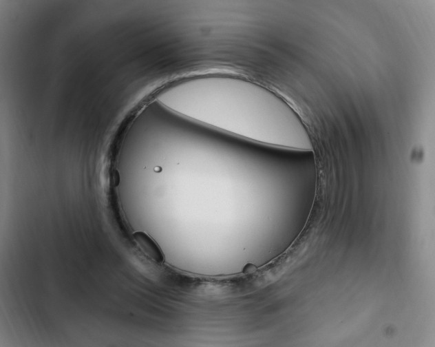 X0000103320350200809051004