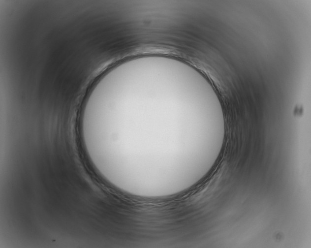 X0000103320352200809051004
