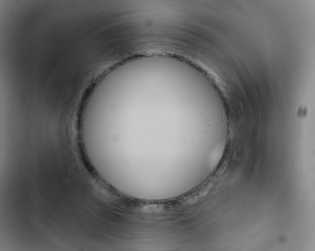 X0000103320353200809051004