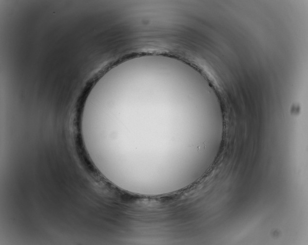 X0000103320354200809051004