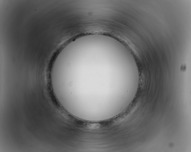 X0000103320355200809051004