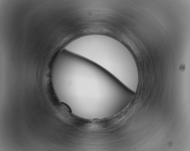 X0000103320356200809051004