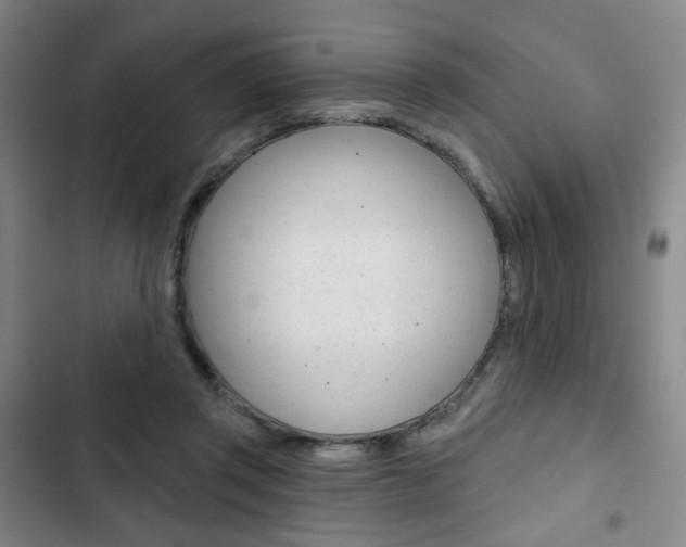 X0000103320357200809051004