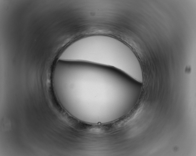 X0000103320358200809051004