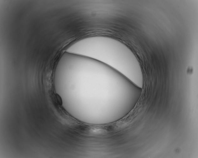 X0000103320360200809051004