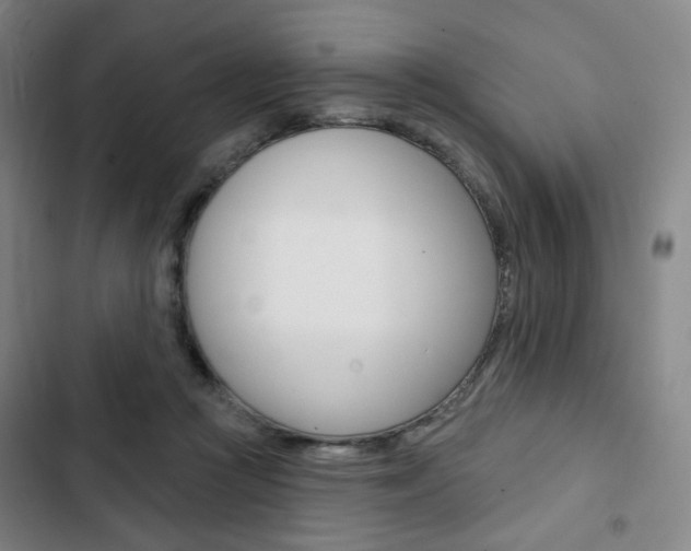 X0000103320361200809051004