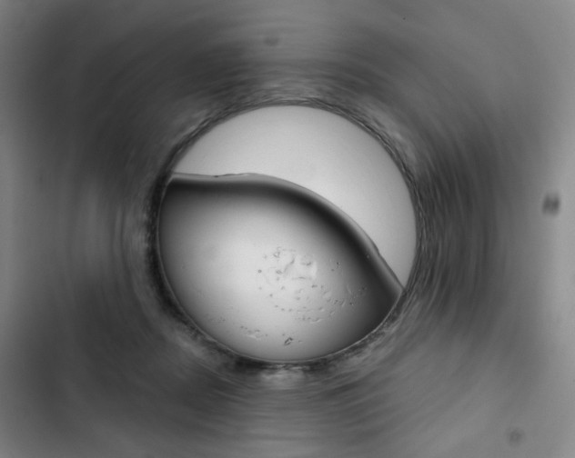 X0000103320362200809051004