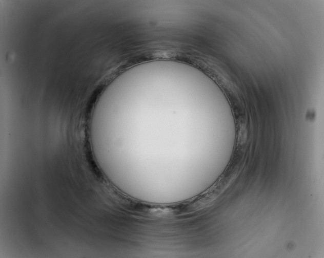 X0000103320363200809051004
