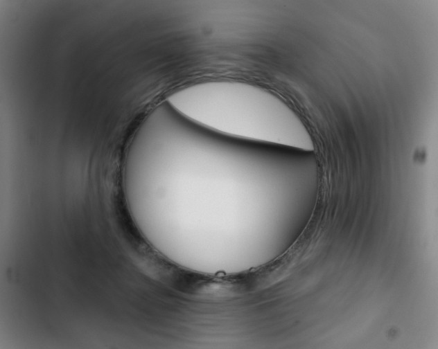 X0000103320364200809051004