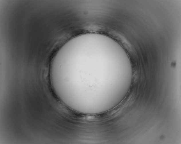 X0000103320365200809051004