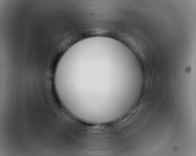 X0000103320366200809051004