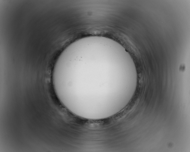 X0000103320368200809051004