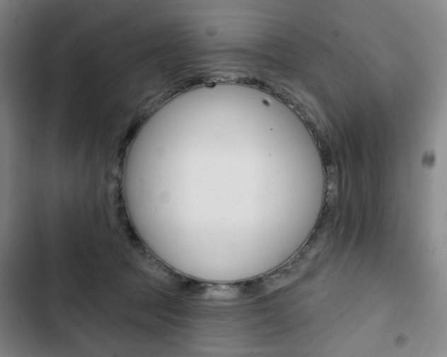 X0000103320369200809051004