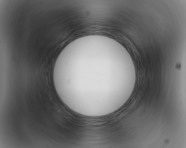 X0000103320372200809051004