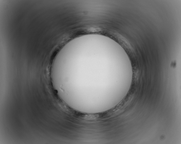 X0000103320373200809051004