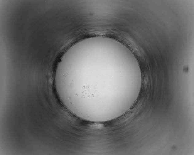 X0000103320374200809051004