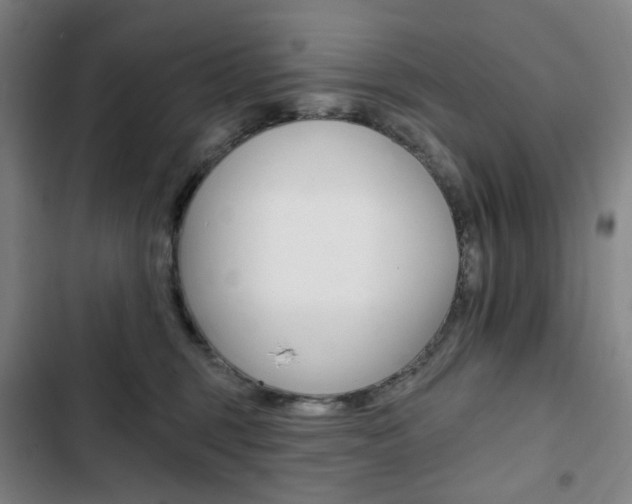 X0000103320375200809051004