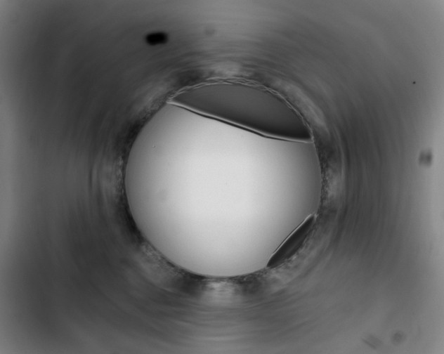 X0000103320376200809051004