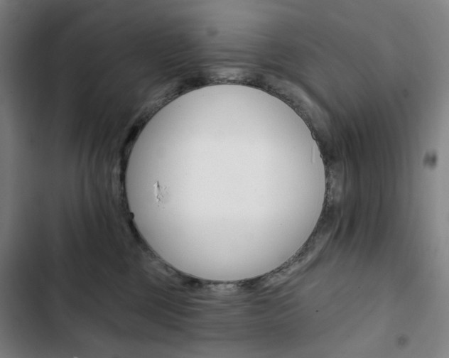 X0000103320377200809051004