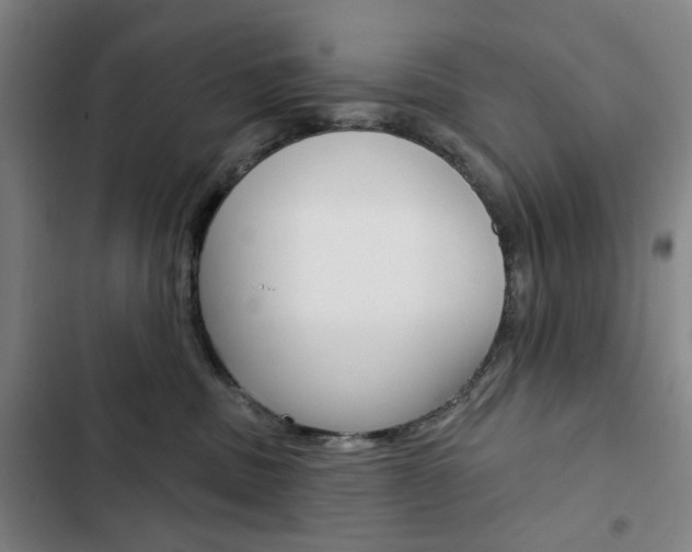 X0000103320379200809051004