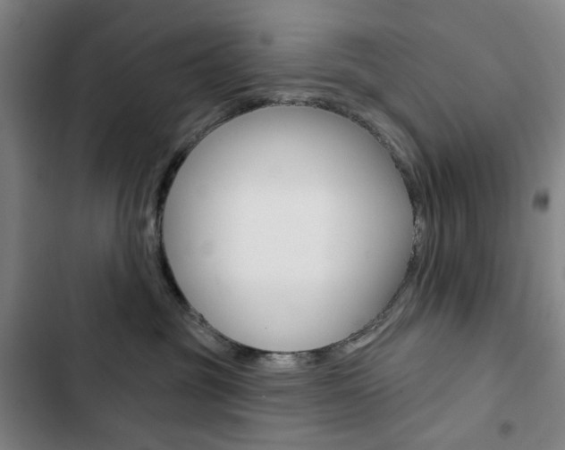 X0000103320381200809051004