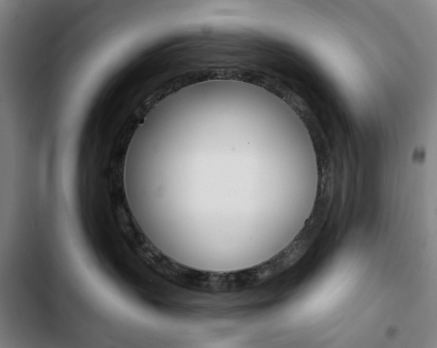 X0000103320383200809051004