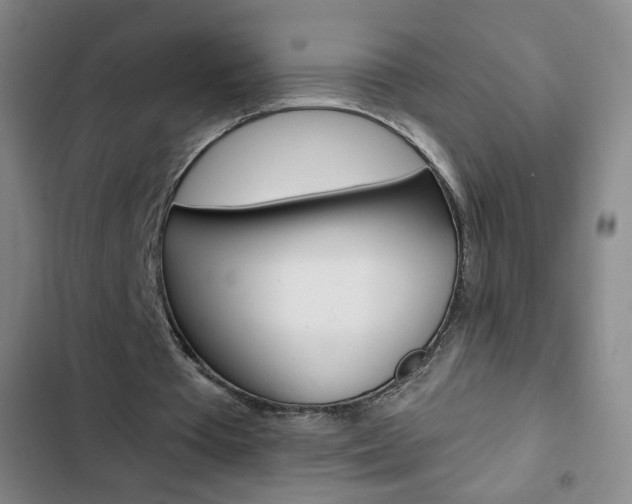 X0000103320385200809051004