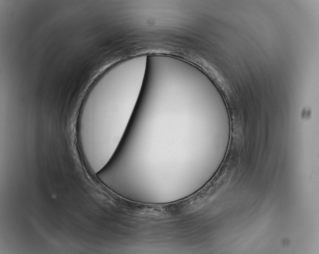 X0000103320386200809051004