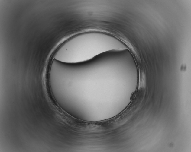 X0000103320387200809051004