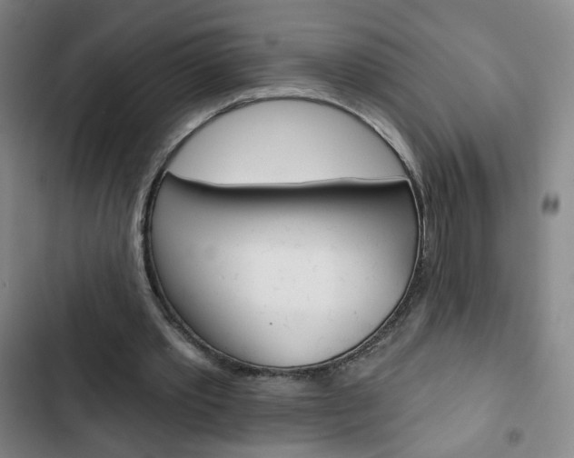 X0000103320389200809051004