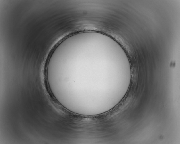 X0000103320390200809051004