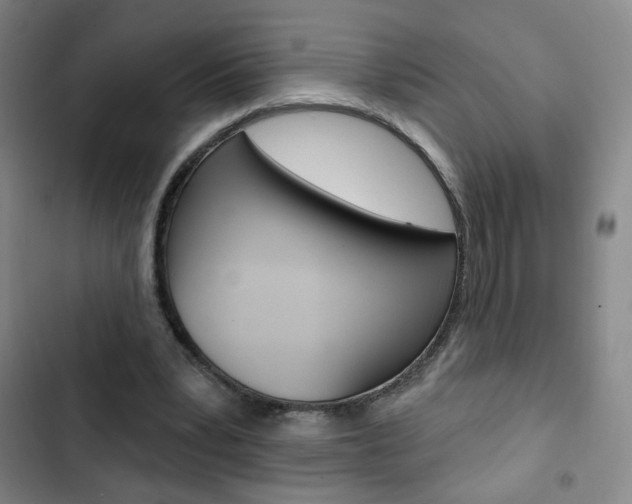 X0000103320391200809051004