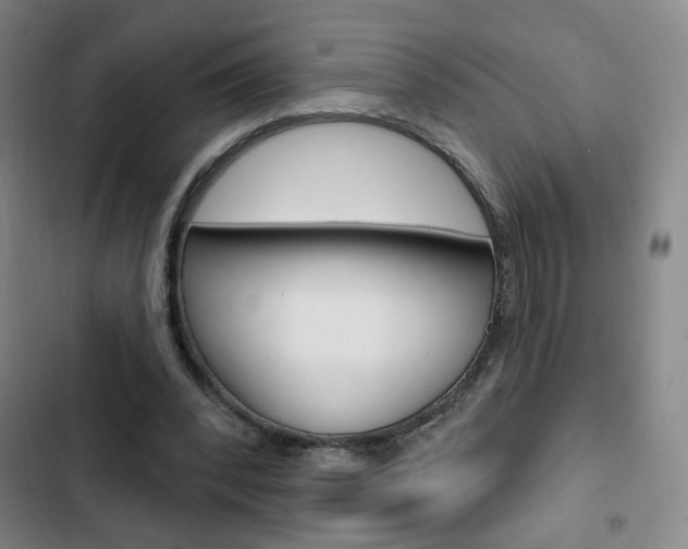 X0000103320392200809051004