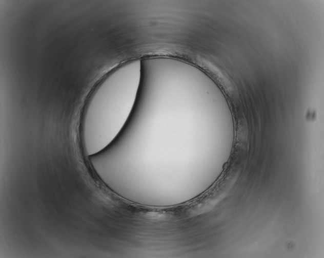 X0000103320394200809051004