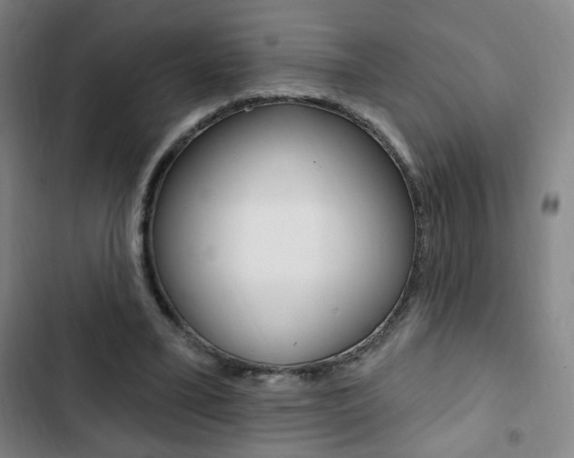 X0000103320395200809051004