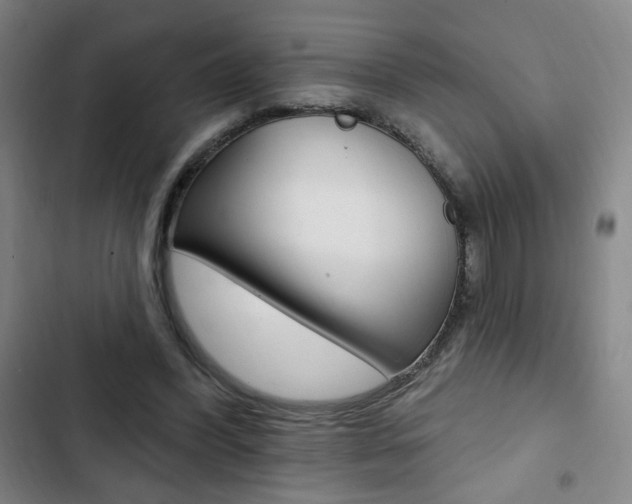 X0000103320396200809051004