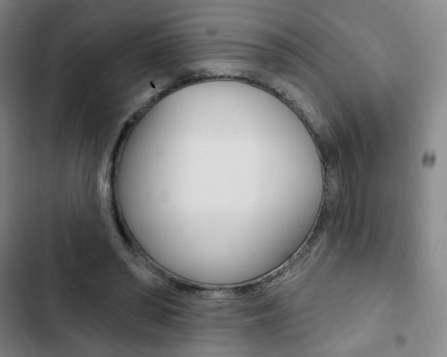 X0000103320398200809051004