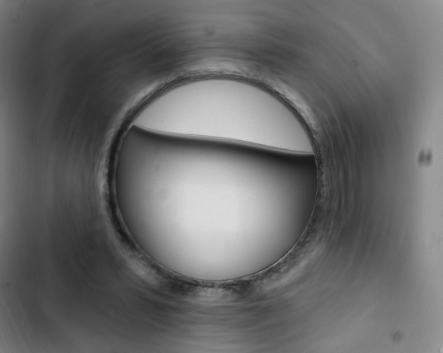 X0000103320399200809051004